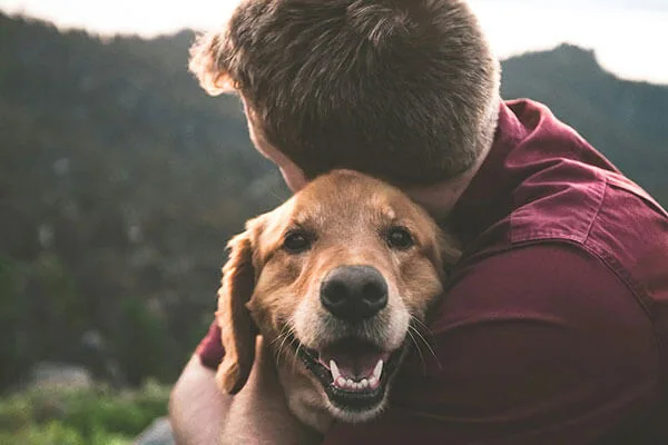 Korzyści pracy w Qpharma