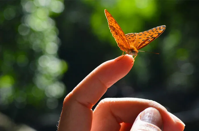 Qpharma - produkty medyczne - Doskonalenie - Coraz lepiej, coraz mądrzej