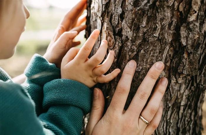 Qpharma - produkty medyczne - etyka - Wiarygodność, poszanowanie zasad